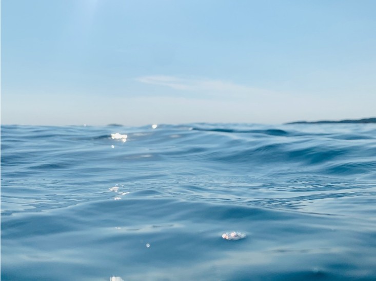 Waterpret en dolfijnen op Fuerteventura