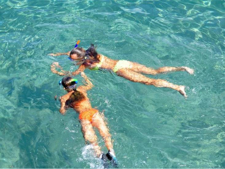 Waterpret en dolfijnen op Fuerteventura